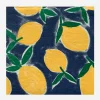 Sale Françoise Paviot 20 Blue And Lemon Yellow Napkins