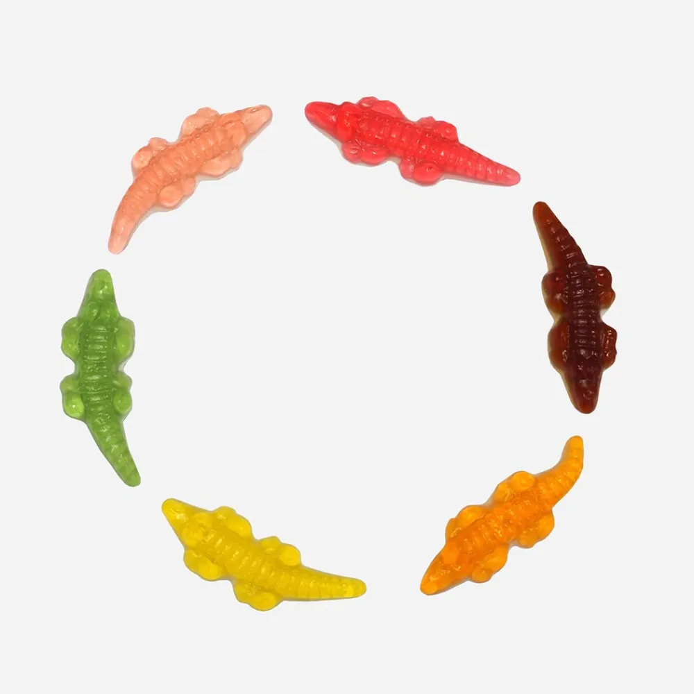 Store Les gourmandises de Sophie 1 Bucket Of Crocodile Candies