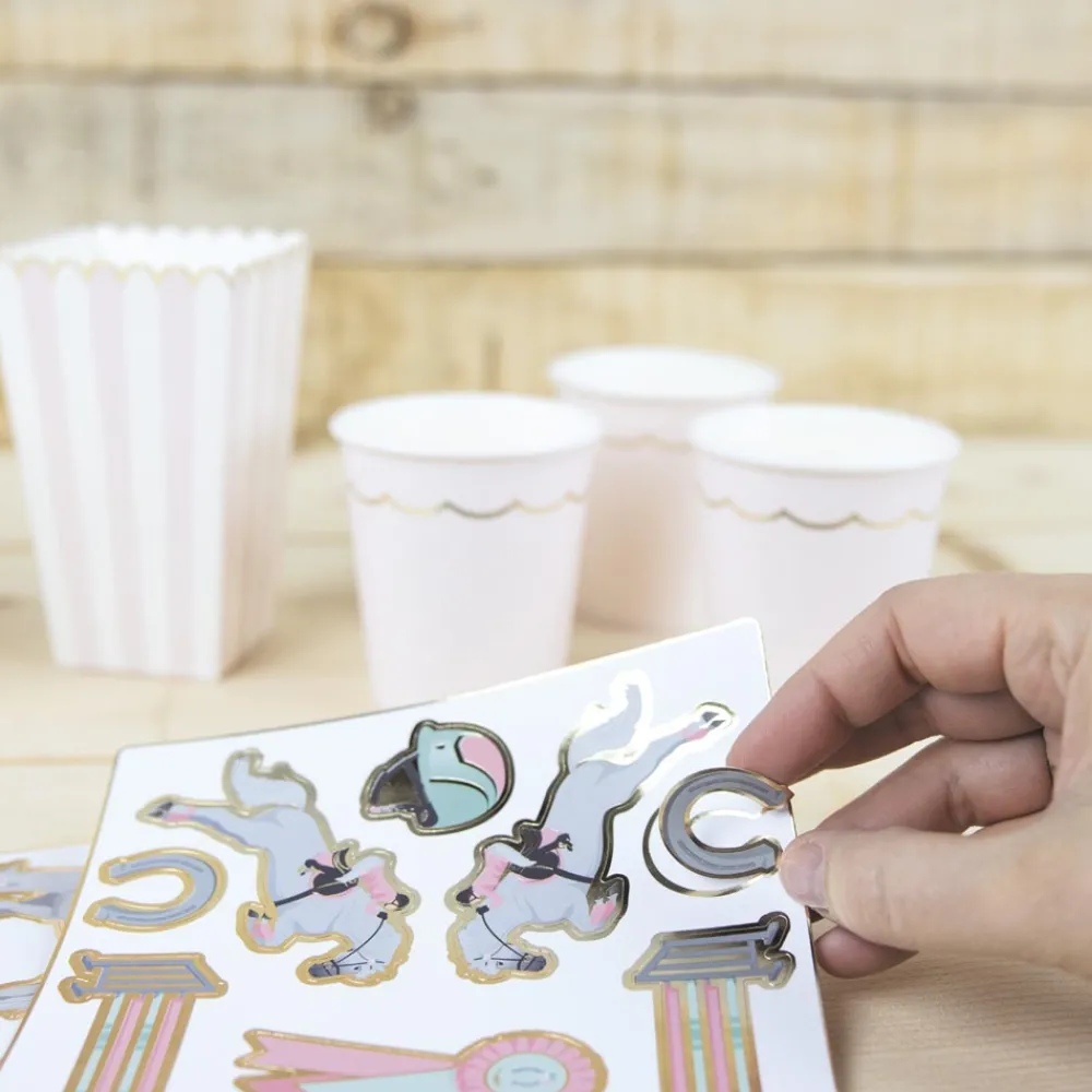 New Party Pro 25 Horse Riding Stickers