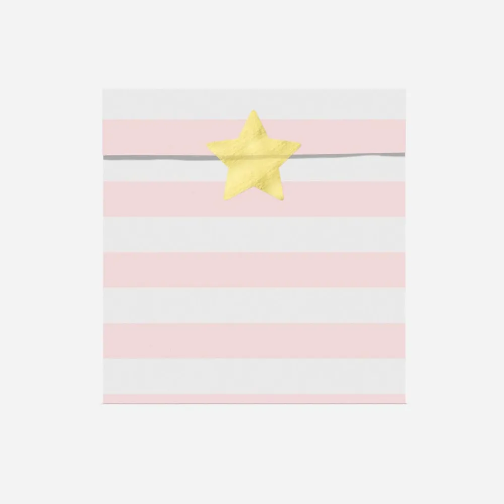 Store Party Deco 6 Pockets With Pink Stripes And Stickers
