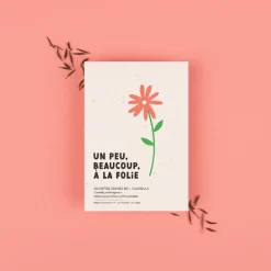 Best La Fabrique à sachets 1 Sachet Of Seeds - A Little, A Lot, Madly