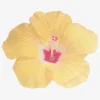 Fashion Ginger Ray 16 Tropical Flower Napkins