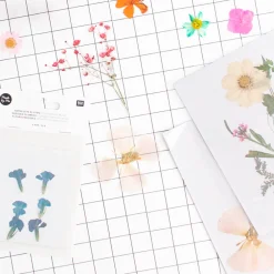 Best Rico Design Blue Dried Flowers: Chinese Dianthus