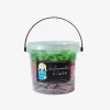 Shop Les gourmandises de Sophie Bucket Of Candy Laces