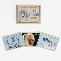Best Marc Vidal Cards: I Am Learning To Recognize Dogs