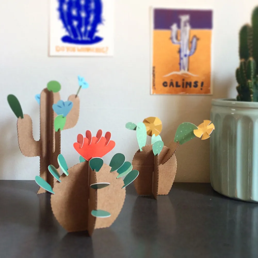 Cheap Pirouette Cacahouete Creative Leisure Kit: 6 Cacti To Create