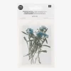 New Rico Design Dried Flowers: Blue Alysson