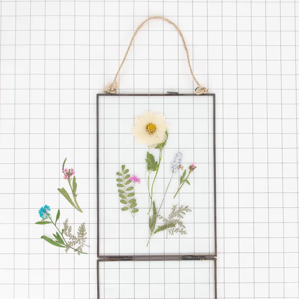 New Rico Design Dried Flowers: Blue Alysson