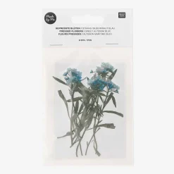 Sale Rico Design Dried Flowers: Blue Alysson