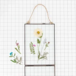 Sale Rico Design Dried Flowers: Blue Alysson