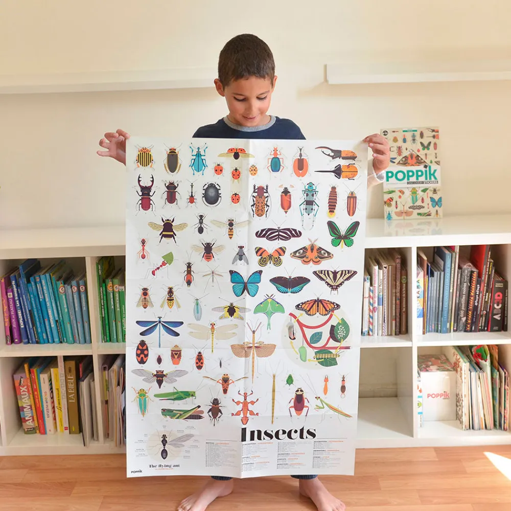 Cheap Poppik Educational Poster + 44 Stickers: Insects