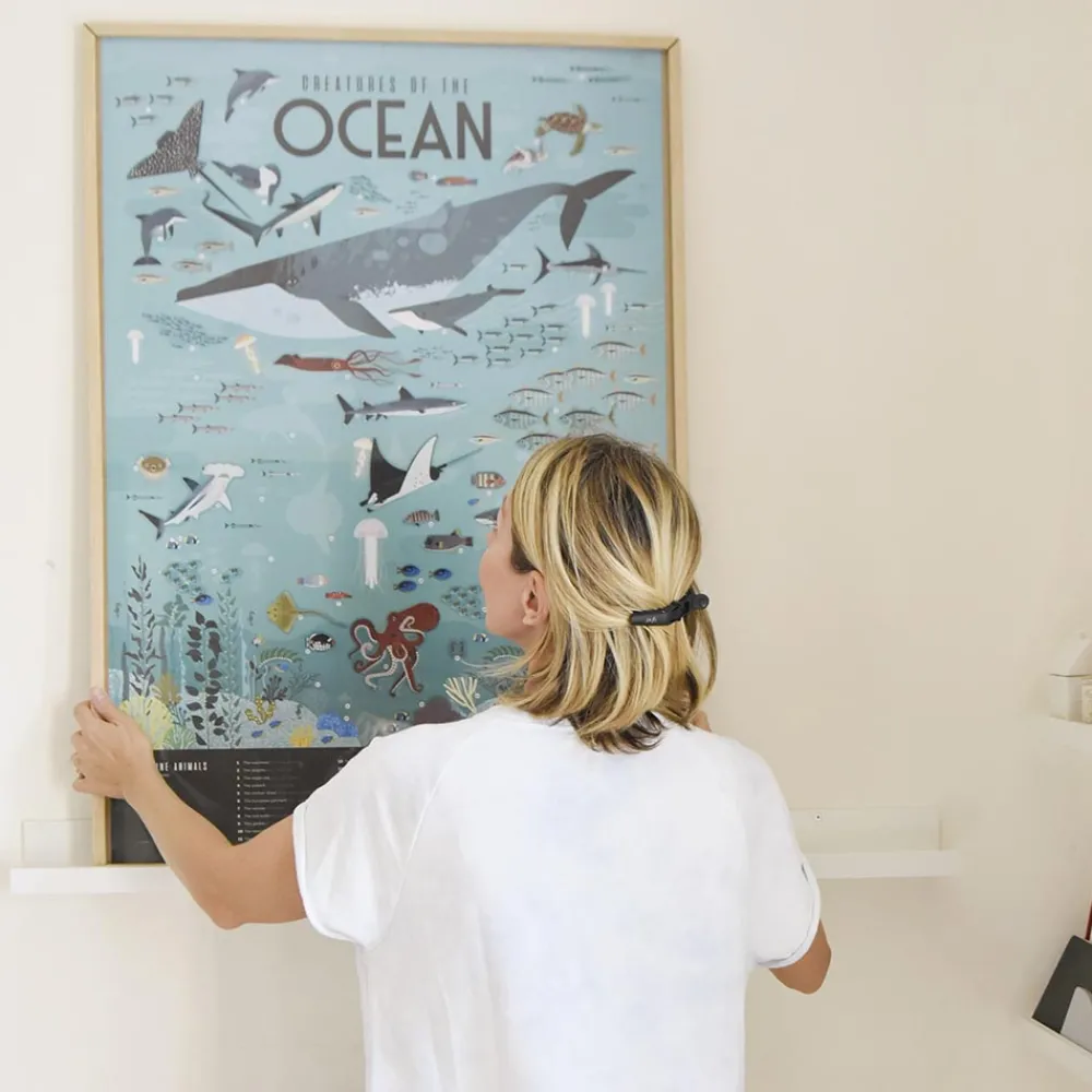 Cheap Poppik Educational Poster + 59 Stickers: Oceans