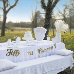 Online Party Pro Girl Or Boy Pinata