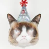Best Sale Grabo Balloons Grumpy Cat Party Balloon