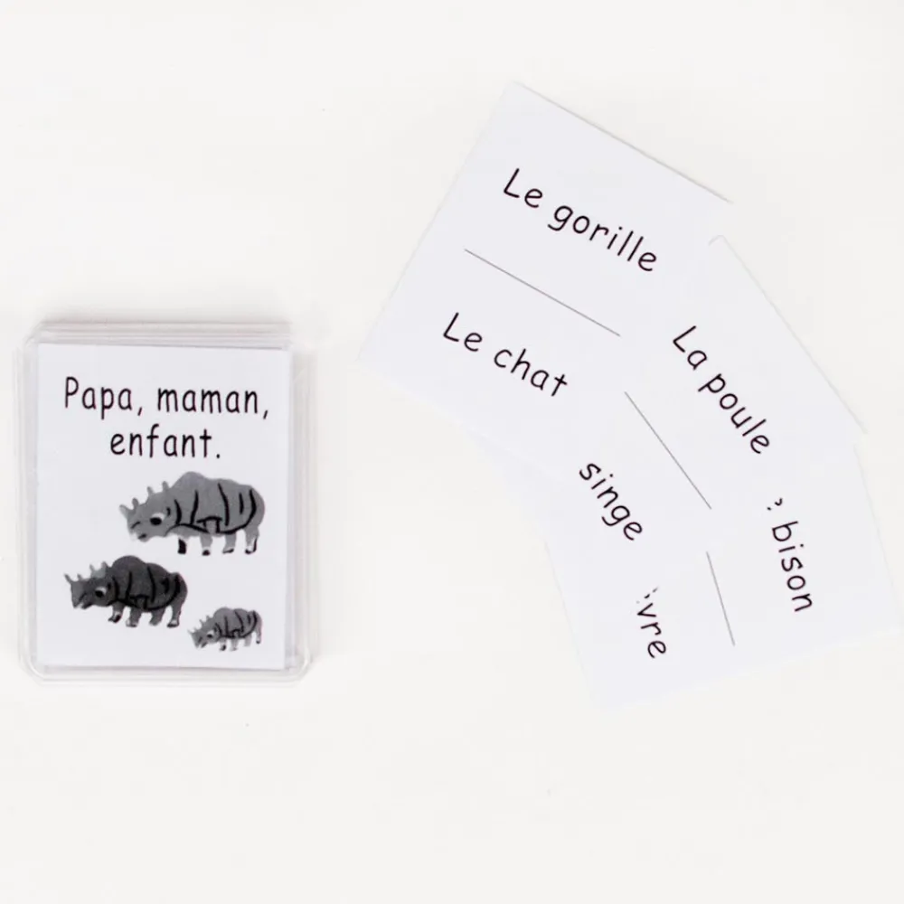 Shop Marc Vidal Map: Animal Families