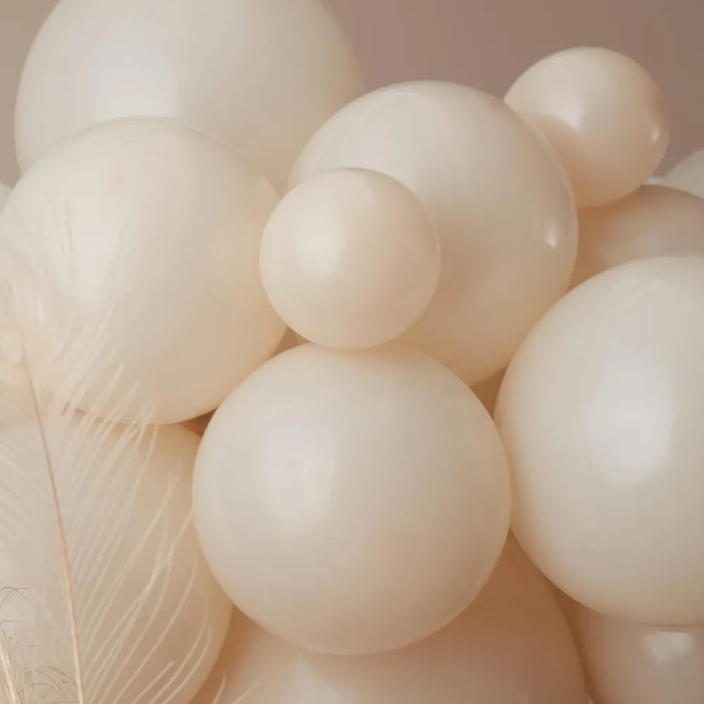 Clearance Ginger Ray Nude And Chocolate Balloon Arch