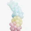 Clearance Ginger Ray Pastel Balloon Arch
