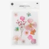 Shop Rico Design Pressed Dried Flowers: Orange, Pink, Turquoise Mix