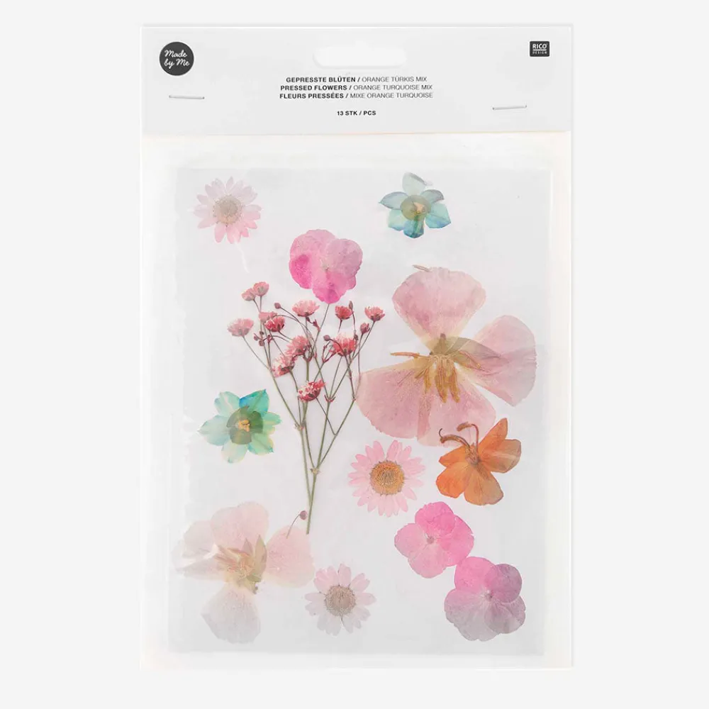 Shop Rico Design Pressed Dried Flowers: Orange, Pink, Turquoise Mix