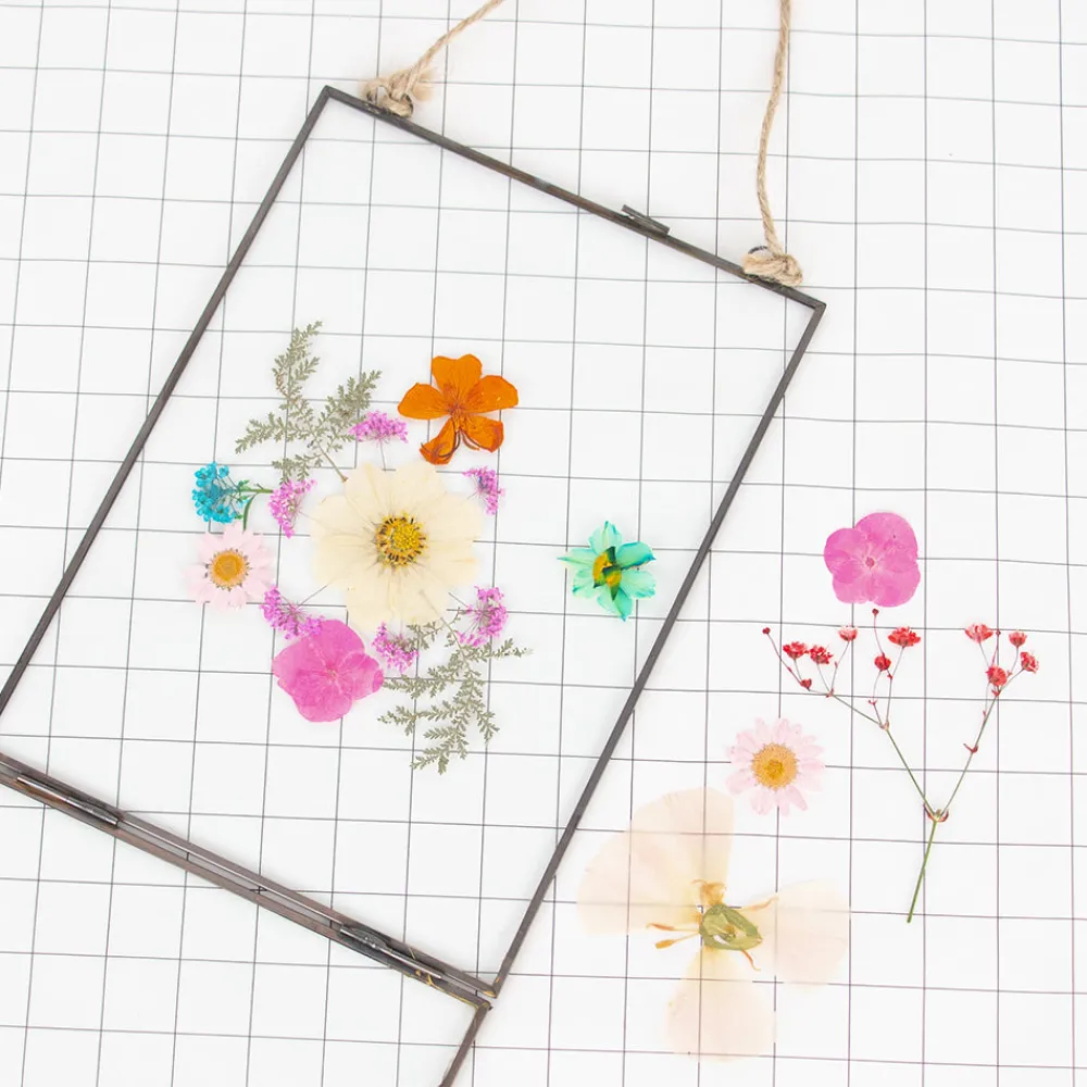 Shop Rico Design Pressed Dried Flowers: Orange, Pink, Turquoise Mix