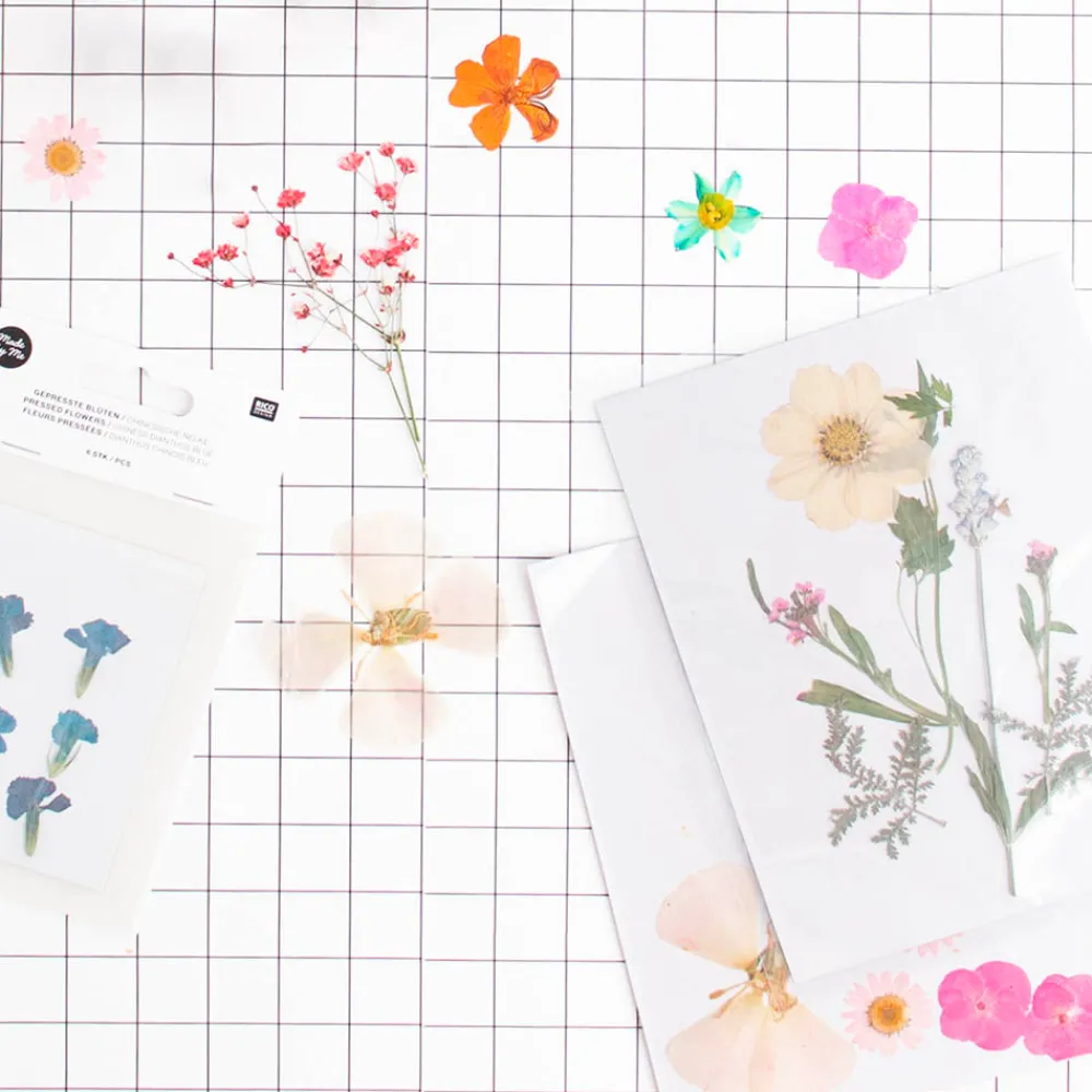 Shop Rico Design Pressed Dried Flowers: Orange, Pink, Turquoise Mix