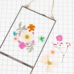 New Rico Design Pressed Dried Flowers: Orange, Pink, Turquoise Mix