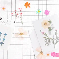 New Rico Design Pressed Dried Flowers: Orange, Pink, Turquoise Mix