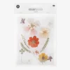 Cheap Rico Design Pressed Dried Flowers: Orange Mix