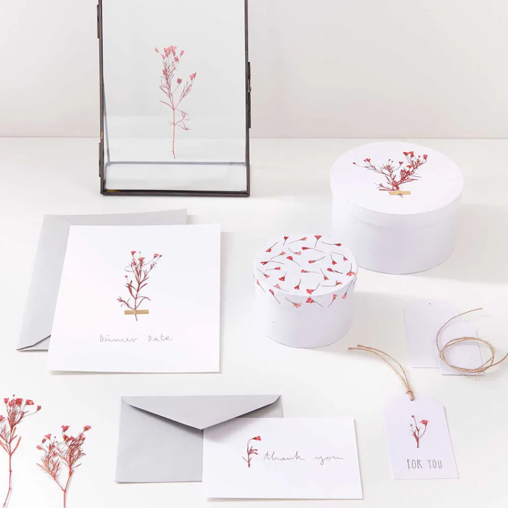 Discount Rico Design Red Gypsophila Dried Flowers