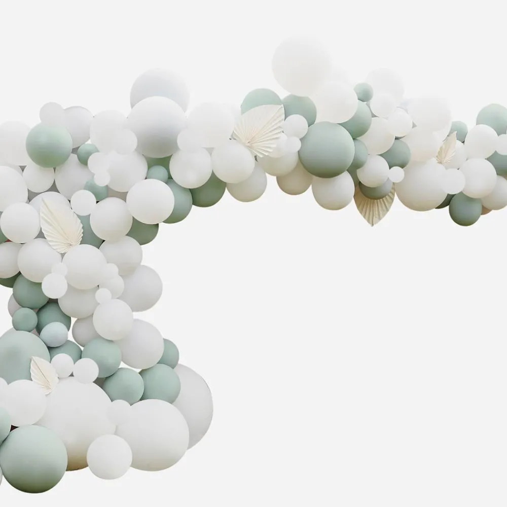 Cheap Ginger Ray Sage And White Balloon Arch