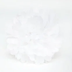 Hot Party Pro Satin Pompom - White