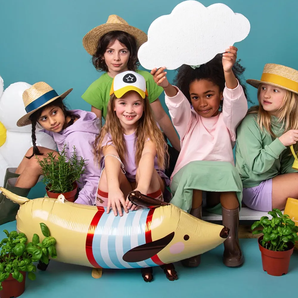 Store Party Deco Sausage Dog Balloon